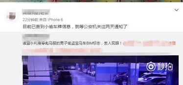 地醉视频播放,跟随地醉视频感受视觉盛宴