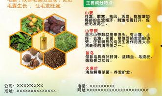 茶麸洗头视频,传统养发秘方，轻松打造秀发奇迹