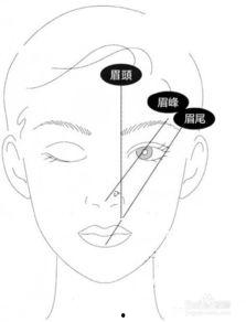 一字眉怎么画视频教学,轻松掌握眉型塑造技巧