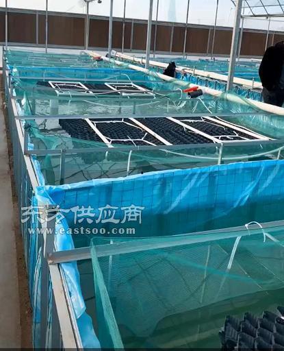 立体养殖视频,高效养殖新篇章