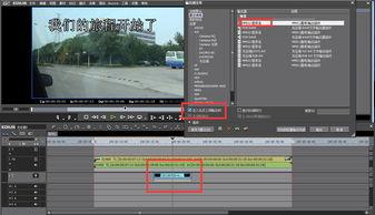 手机视频短片,手机里的精彩瞬间