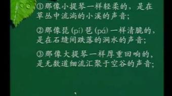 王玲湘搭石视频,匠心独运，传承民间艺术之美